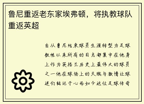 鲁尼重返老东家埃弗顿，将执教球队重返英超