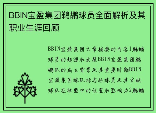 BBIN宝盈集团鹈鹕球员全面解析及其职业生涯回顾